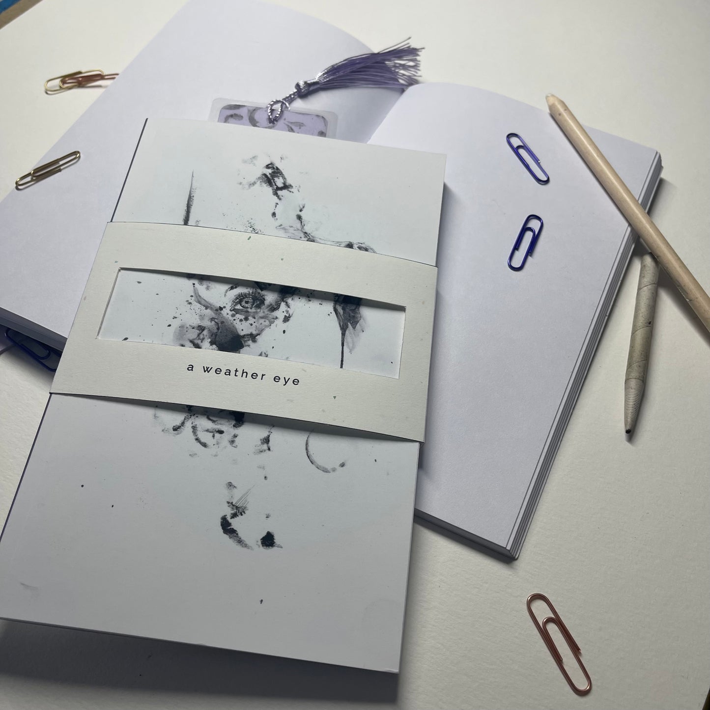 "A Weather Eye" Journal