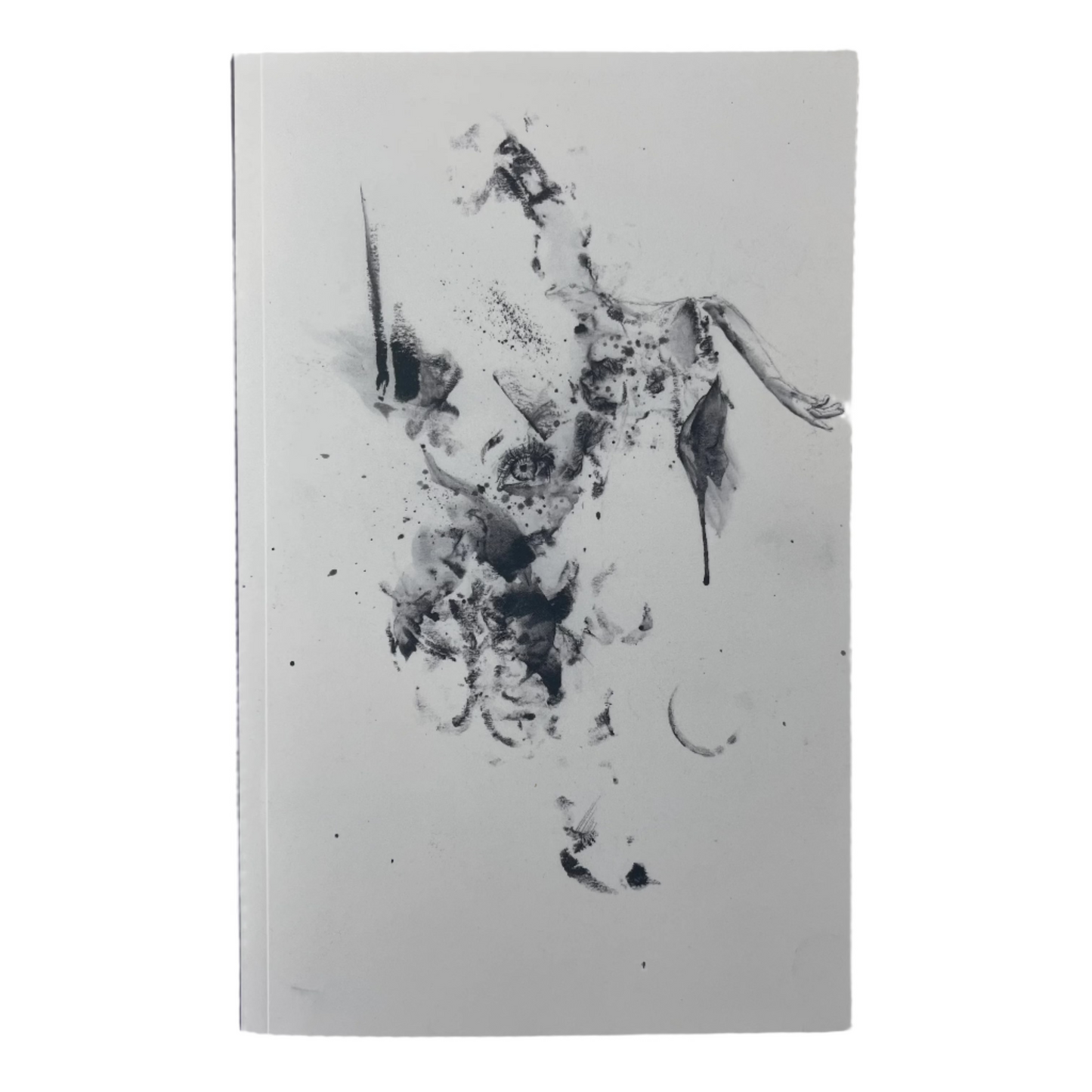 "A Weather Eye" Journal