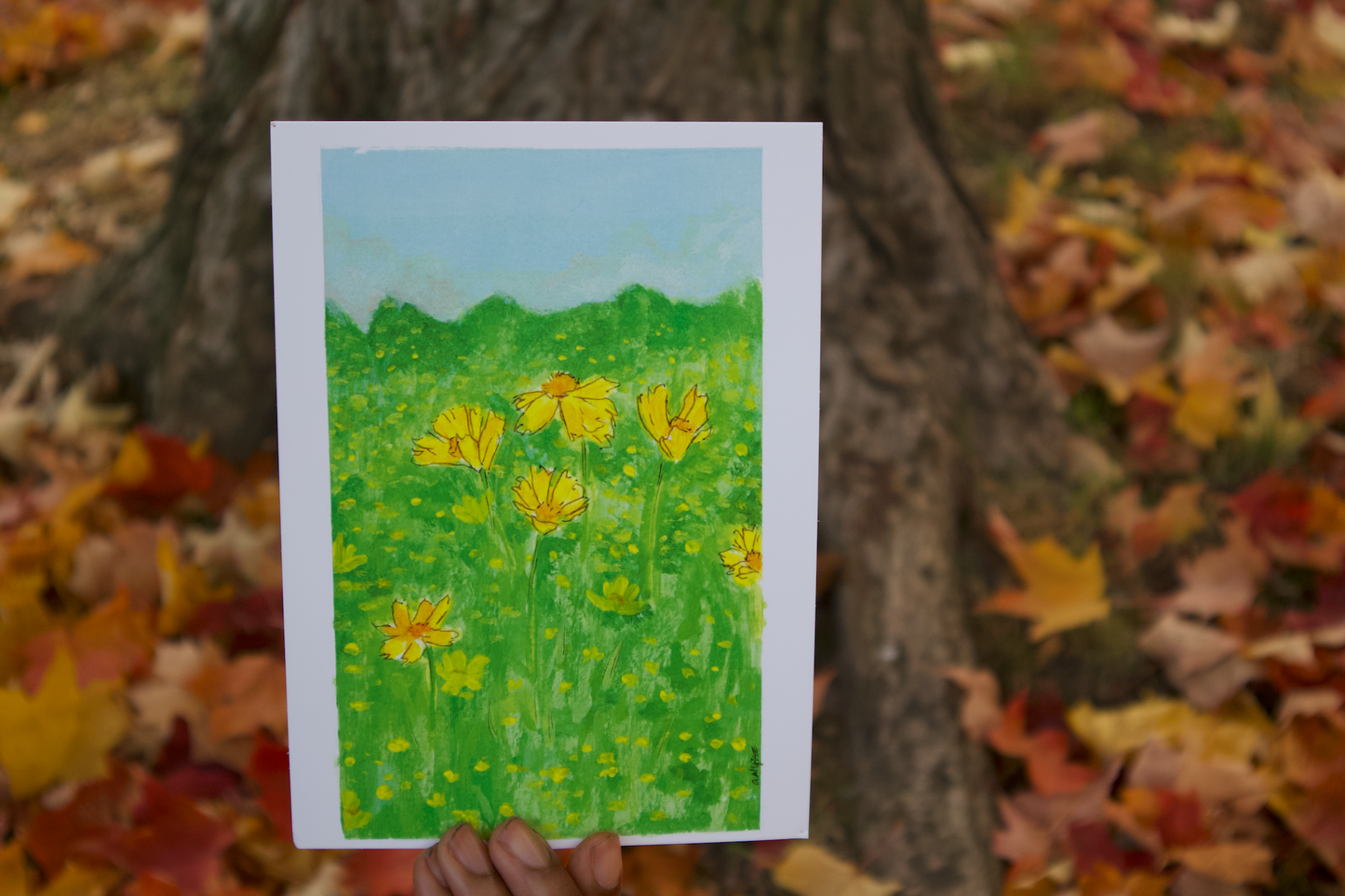 "Field of Sunshine" | Art Print